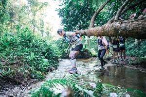 BIB: 
                            <button type="button" onclick="openModal(25445314)" class="btn btn-primary btn-sm float-right btn-popup" data-toggle="modal" data-target=".modal-high-quality">
                        <i class="fas fa-shopping-cart"></i> Add to Cart
                    </button>
                                            <button type="button" onclick="isThisMe(25445314, true)" class="btn btn-success btn-sm float-right btn-popup btn-isme hidden" data-toggle="tooltip" data-placement="bottom" title="นี่คือรูปของคุณใช่ไหม คลิกที่นี่เพื่อเอาเข้าอัลบั้ม">
                        <i class="fas fa-plus"></i> Add to album
                    </button>
                    <button type="button" onclick="isThisMe(25445314, false)" class="btn btn-warning btn-sm float-right btn-popup btn-isnotme hidden">
                        <i class="fas fa-ban"></i> Remove from album
                    </button>